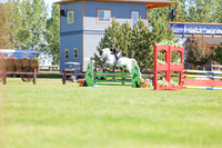 02323 - Shea - 2026 June Classic II - Friday June 19th