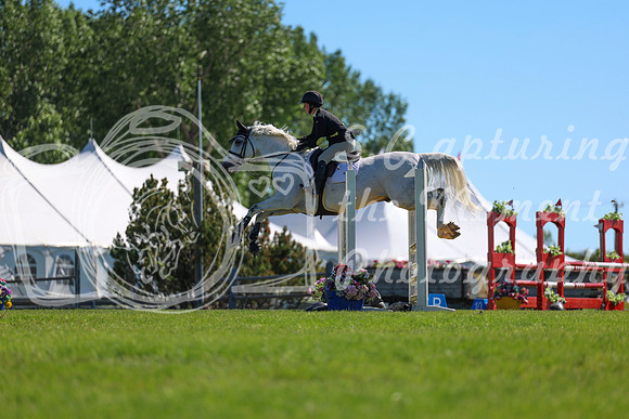 02350 - Shea - 2026 June Classic II - Friday June 19th
