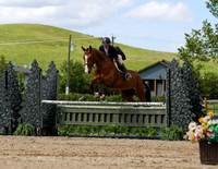 3'0 Hunter Derby