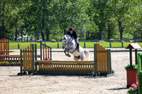 08169 - Mara - 2026 June Classic II - Friday June 19th