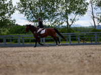 17162 - Mykenzi - 2026 June Classic II - Friday June 19th