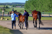 00113 - Shea - 2026 June Classic II - Friday June 19th