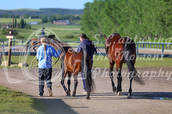 00113 - Shea - 2026 June Classic II - Friday June 19th