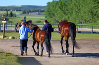 00115 - Shea - 2026 June Classic II - Friday June 19th