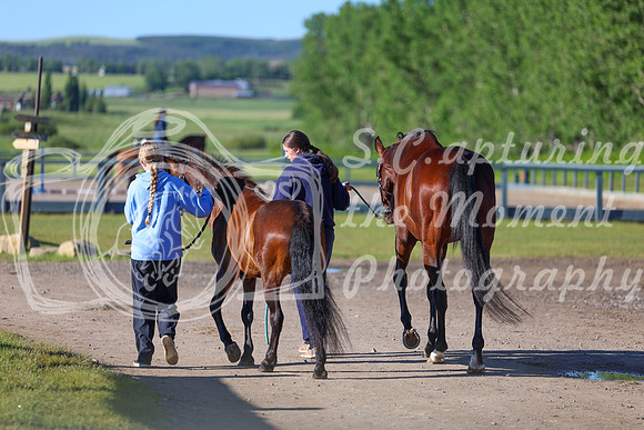 00115 - Shea - 2026 June Classic II - Friday June 19th