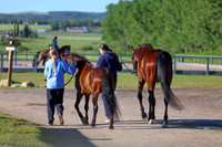 00114 - Shea - 2026 June Classic II - Friday June 19th