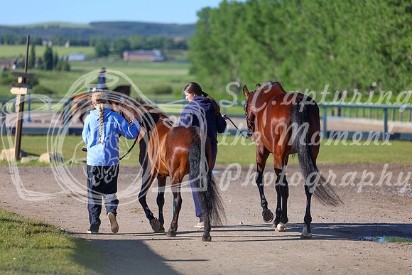 00114 - Shea - 2026 June Classic II - Friday June 19th