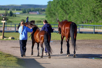 00116 - Shea - 2026 June Classic II - Friday June 19th