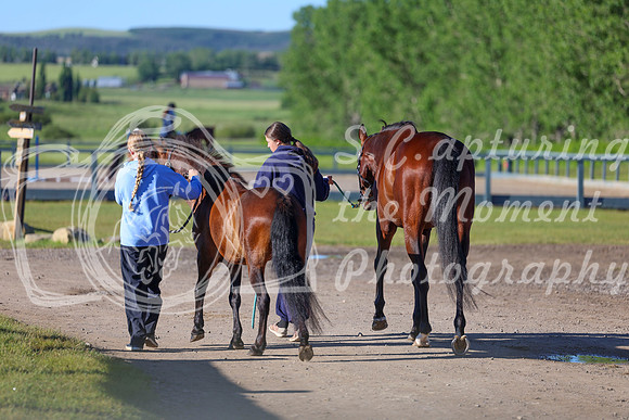 00116 - Shea - 2026 June Classic II - Friday June 19th