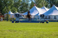 01067 - Shea - 2026 June Classic II - Friday June 19th