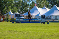 01066 - Shea - 2026 June Classic II - Friday June 19th