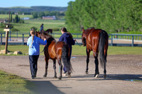 00118 - Shea - 2026 June Classic II - Friday June 19th