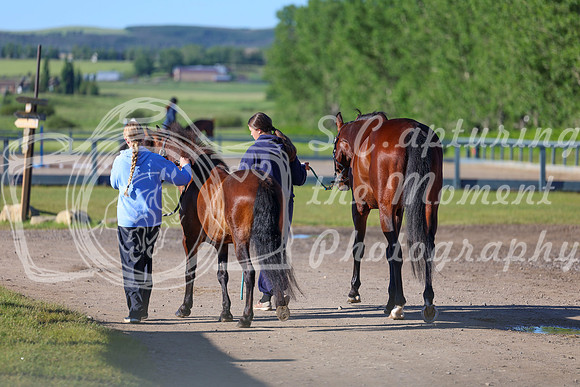 00118 - Shea - 2026 June Classic II - Friday June 19th