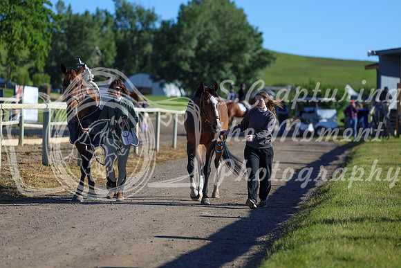 00260 - Shea - 2026 June Classic II - Friday June 19th