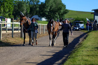 00259 - Shea - 2026 June Classic II - Friday June 19th