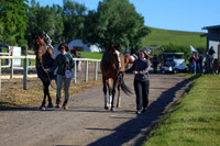00262 - Shea - 2026 June Classic II - Friday June 19th