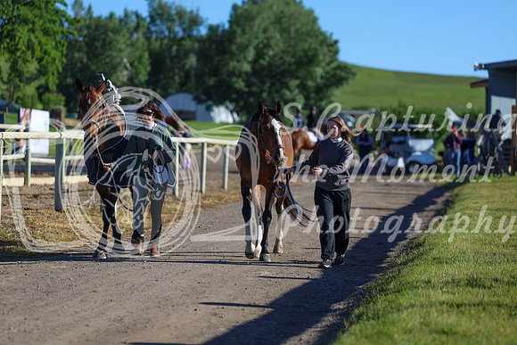 00262 - Shea - 2026 June Classic II - Friday June 19th