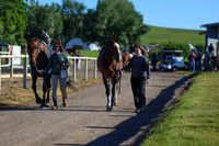 00266 - Shea - 2026 June Classic II - Friday June 19th