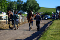 00267 - Shea - 2026 June Classic II - Friday June 19th