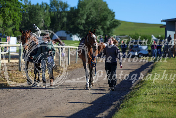 00267 - Shea - 2026 June Classic II - Friday June 19th