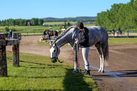 00546 - Shea - 2026 June Classic II - Friday June 19th