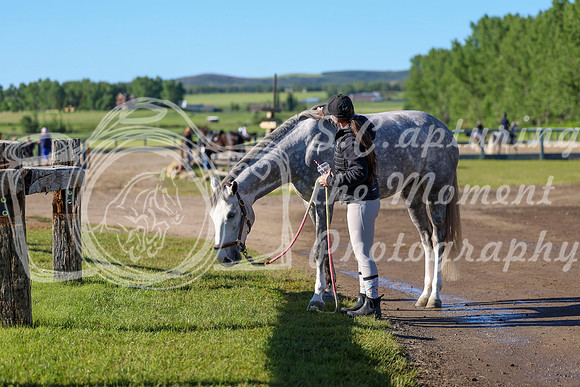 00546 - Shea - 2026 June Classic II - Friday June 19th