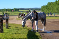 00544 - Shea - 2026 June Classic II - Friday June 19th