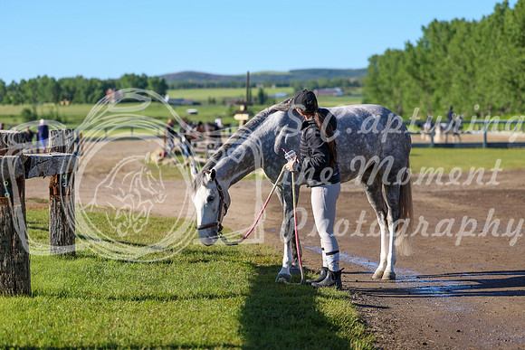 00544 - Shea - 2026 June Classic II - Friday June 19th