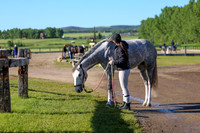 00545 - Shea - 2026 June Classic II - Friday June 19th