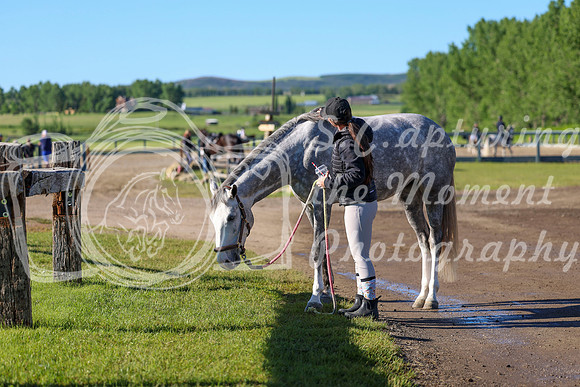 00545 - Shea - 2026 June Classic II - Friday June 19th