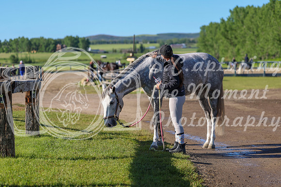 00547 - Shea - 2026 June Classic II - Friday June 19th