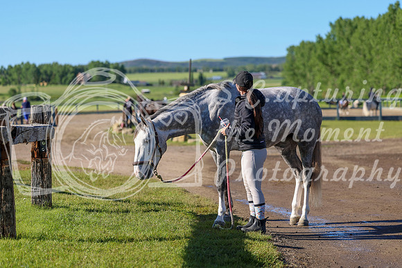 00550 - Shea - 2026 June Classic II - Friday June 19th