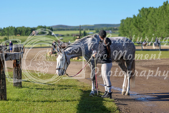 00551 - Shea - 2026 June Classic II - Friday June 19th