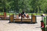 08717 - Mara - 2026 June Classic II - Friday June 19th