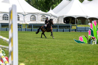 10214 - Shea - 2026 June Classic II - Friday June 19th