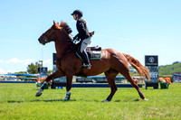 09101 - Shea - 2026 June Classic II - Friday June 19th