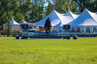 00556 - Shea - 2026 June Classic II - Friday June 19th