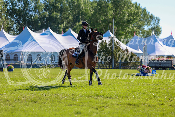 00567 - Shea - 2026 June Classic II - Friday June 19th