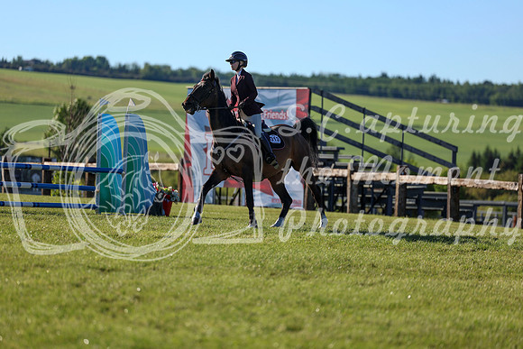 00239 - Shea - 2026 June Classic II - Friday June 19th