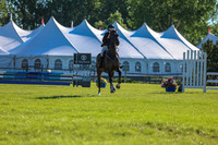 00250 - Shea - 2026 June Classic II - Friday June 19th