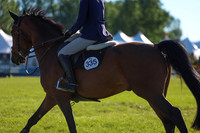 00302 - Shea - 2026 June Classic II - Friday June 19th