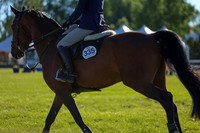 00304 - Shea - 2026 June Classic II - Friday June 19th
