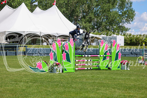 10548 - Shea - 2026 June Classic II - Friday June 19th