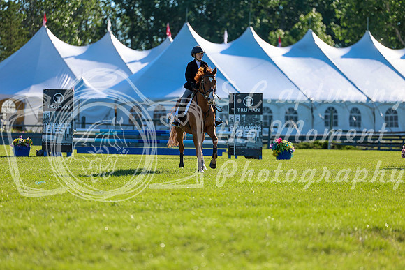 00362 - Shea - 2026 June Classic II - Friday June 19th