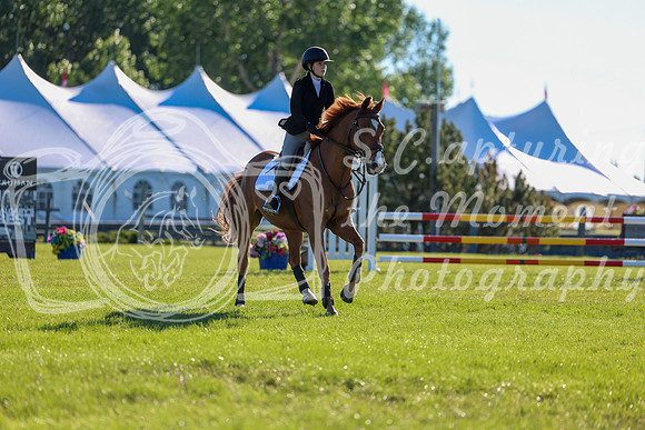 00366 - Shea - 2026 June Classic II - Friday June 19th