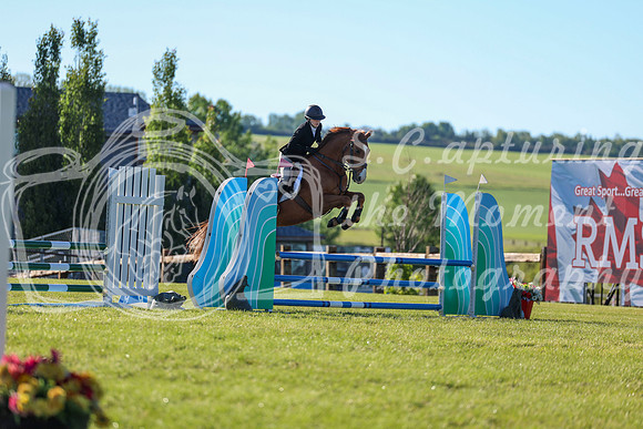 00381 - Shea - 2026 June Classic II - Friday June 19th