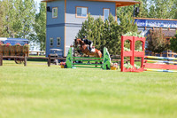 02052 - Shea - 2026 June Classic II - Friday June 19th