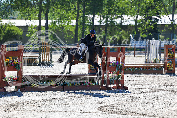 06942 - Mara - 2026 June Classic II - Friday June 19th