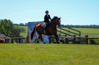 01376 - Shea - 2026 June Classic II - Friday June 19th