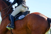 01379 - Shea - 2026 June Classic II - Friday June 19th